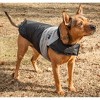 Touchdog (R) Lightening-Shield 2-in-1 Dual-Removable-Layered Waterproof Dog Jacket - image 4 of 4