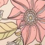 joyful blooms c03