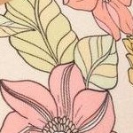 joyful blooms c03
