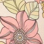 joyful blooms c03