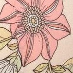 joyful blooms c03