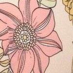 joyful blooms c03