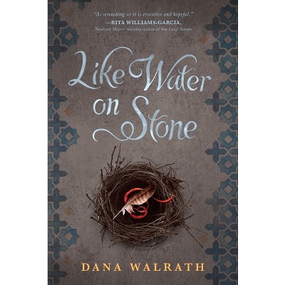 Like Water on Stone - by  Dana Walrath (Paperback)