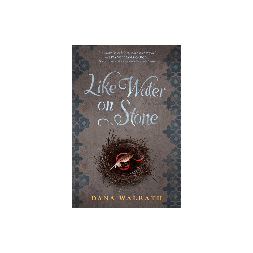 Like Water on Stone - by Dana Walrath (Paperback)