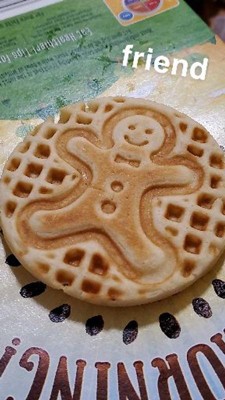 Dash 4 In. Gingerbread Mini Waffle Maker - Thomas Do-it Center