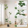 Artificial tree, indoor artificial tall plant, simulated double-pole green oak leaf tree, suitable for placement in many occasions - 3 of 4