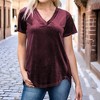 Amaryllis Women's Short-Sleeve Casual V-Neck Velvet High Low Tee Soft Luxurious Rich Texture - 2 of 4