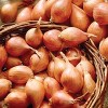 Van Zyverden 25ct Allium White Bulbs - 3 of 4