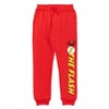DC Comics Justice League Batman Superman Flash 3 Pack Jogger Pants - 4 of 4