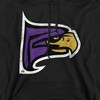 Men's Hunter College Distressed Primary Logo Pull-Over Hoodie - 2 of 4