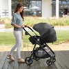 Graco hotsell modes carlee