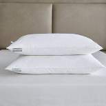 2pk Brrr Pro Cooling Down Alternative Medium Firm Bed Pillow - Kathy Ireland Home