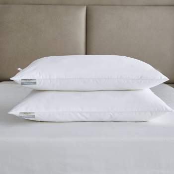 Standard/Queen 2pk Brrr Pro Cooling Down Alternative Medium Firm Bed Pillow - Kathy Ireland Home