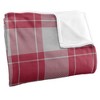Saint Joseph'S University Campus Plaid Spirit Silky Touch Super Soft Throw Blanket 50x60 - 3 of 4