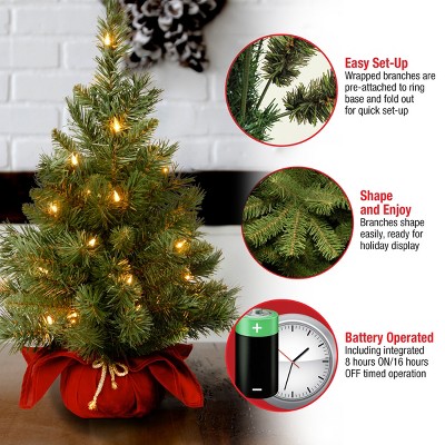 24" Green Fir Tabletop Christmas Tree with Warm White LED Lights