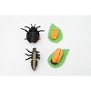 Collectible Wildlife Gifts | Ladybug, Life Cycle of a Lady Bug, 4 Stages, Museum Quality, Hand Painted, Rubber Insect, Model, Gift,  2"  CH487 BB150 - 4 of 4