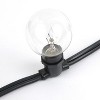 Novelty Lights Globe Outdoor String Lights with 100 Bulbs G30 Vintage Bulbs Black Wire 100 Feet - 4 of 4