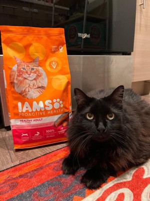 Iams Proactive Health With Salmon Adult Premium Dry Cat Food 3.5