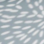 modern circles sky blue