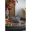 Gulches Series Multicolored Shatterproof Grid Pumpkin Harvest Festival Ornament - 4 of 4