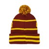 Harry Potter Adult Hogwarts Collegiate Knit Winter Cuff Beanie Hat and Scarf Set - 2 of 4
