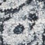 dark blue/grey