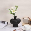 Unique Bargains Ceramic Office Home Decorative Cape Gooseberry Shape Vase Black - 4 of 4