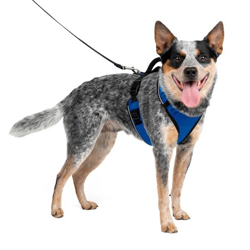 Petsafe Easysport Adjustable Dog Harness M Blue Target