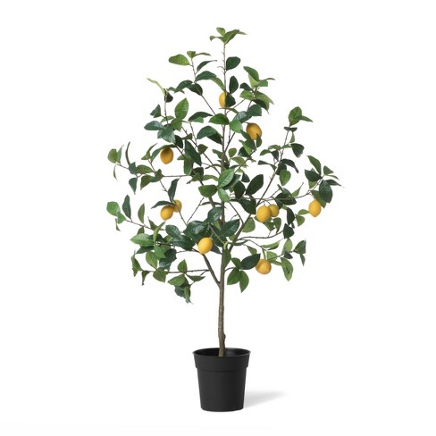 Park Hill Collection Lemon Tree In Plastic Pot : Target