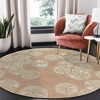 Liora Manne Capri Coastal Indoor/Outdoor Rug.. - 2 of 4
