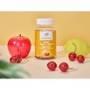 Wellness Essence Multivitamin Gummy - 2 of 4