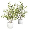 Nearly Natural 18-in Olive Silk Tree with Vase (Set of 2) - 2 of 4