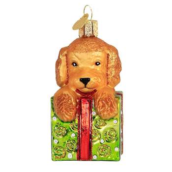 Old World Christmas Doodle Puppy Surprise  -  One Ornament 3.25 Inches -  Ornament Dog Present  -  12650  -  Glass  -  Green
