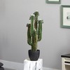 Nearly Natural 2.5-ft Cactus Artificial Plant - 2 of 2