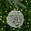 Northlight Frosted Pine Christmas Ball Ornament - 6" - Green - 2 of 4