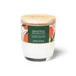 Fall & Winter Candle - Apple & Vetiver - 5.5oz - Everspring™