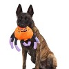 BARK Afraid of the Bark Halloween Maddle Long Legs Animal Plush Dog Toy - 3 of 4