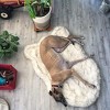 PAW BRANDS PupRug Faux Fur Orthopedic Luxury Dog Bed - 4 of 4