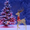 Champagne Woven Standing Reindeer Elegant Lighted Christmas Decoration - 2 of 4