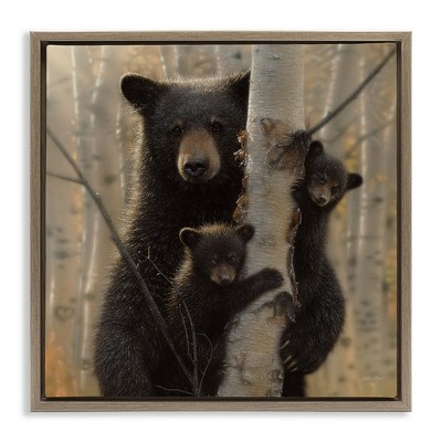 Stupell Industries Forest Black Bear and Cubs, 25" x 25"