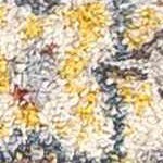 taupe, charcoal, cream, gray, mustard, rust