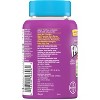 The Flintstones Kids' Complete Multivitamin Gummies - Mixed Fruit - image 4 of 4