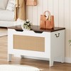 Toy Storage Chest with Safety Hinge - 350lb Capacity Wooden Trunk Bench for Playroom & Entryway - 2 of 4