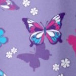 soft iris butterflies