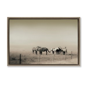 Stupell Industries The Herd Monochrome Horses Floating Frame Canvas Art - 1 of 4