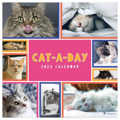 2022 Wall Calendar Cat-A-Day - The Time Factory