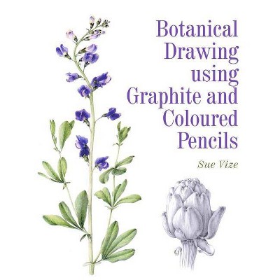 Botanical Drawing Using Graphite and Coloured Pencils - by  Sue Vize (Paperback)