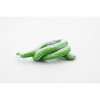 Collectible Wildlife Gifts | Snake, Emerald Boa, Coiled, Rubber Reptile, Educational, Realistic Hand Painted,  Model,   Gift,     2 1/2"      F089 B43 - 4 of 4