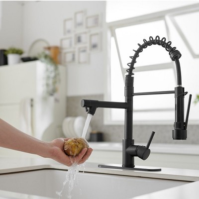 Matte Black High-Arc Kitchen Faucet with Pull-Out Spray