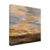 Trademark Fine Art -Silvia Vassileva 'High Desert Sky III' Canvas Art - 4 of 4